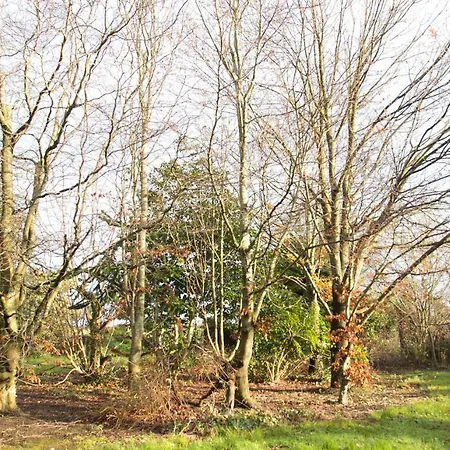 The Orchard 3*