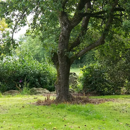 Nocleg ze śniadaniem The Orchard 3*