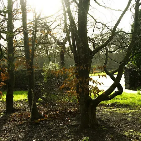 The Orchard