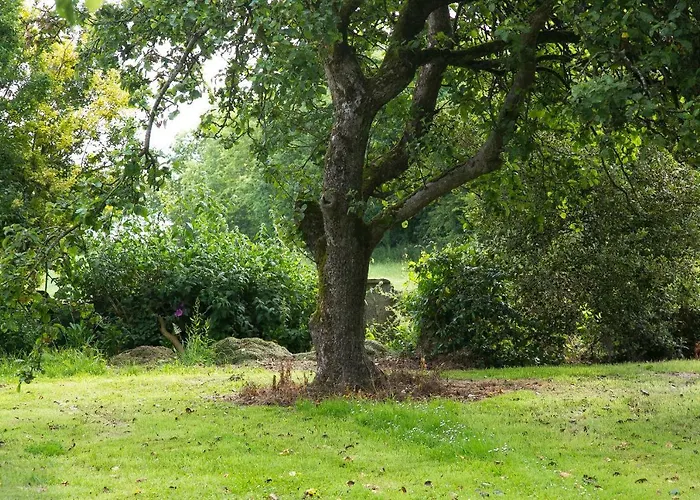 Bed & Breakfast The Orchard 3*