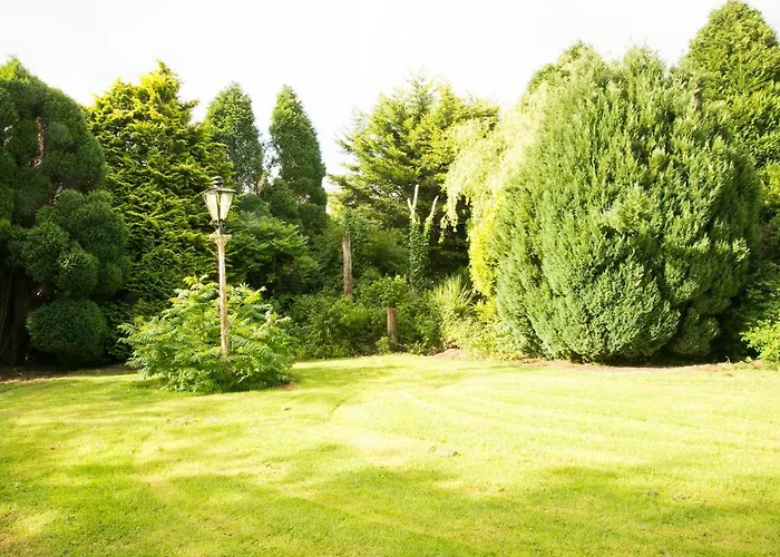 Bed & Breakfast The Orchard Newcastle West